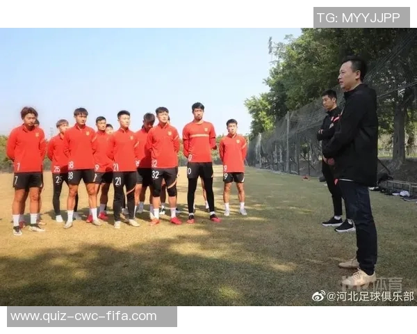 足球消极比赛现象分析及其对比赛公平性和观众体验的影响探讨